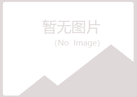 赤峰红山书雪能源有限公司